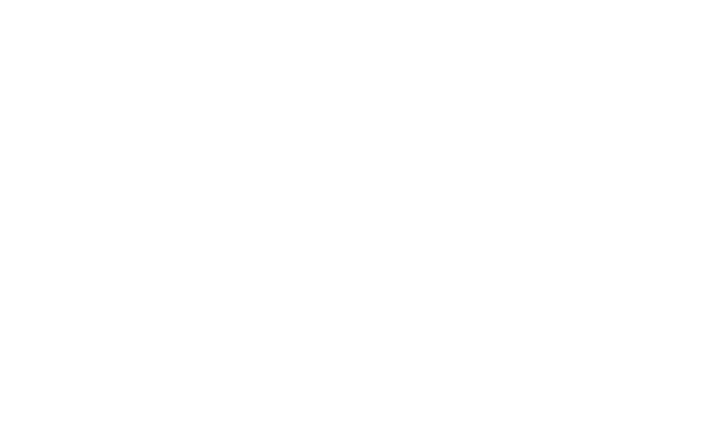 CHIFFON CAKE LIGHT MEAL